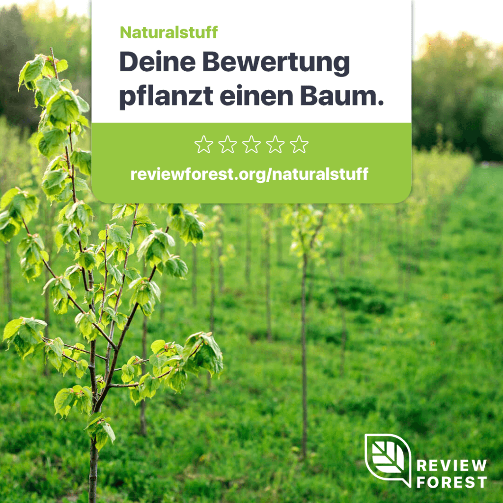 junge bäume in einem Feld